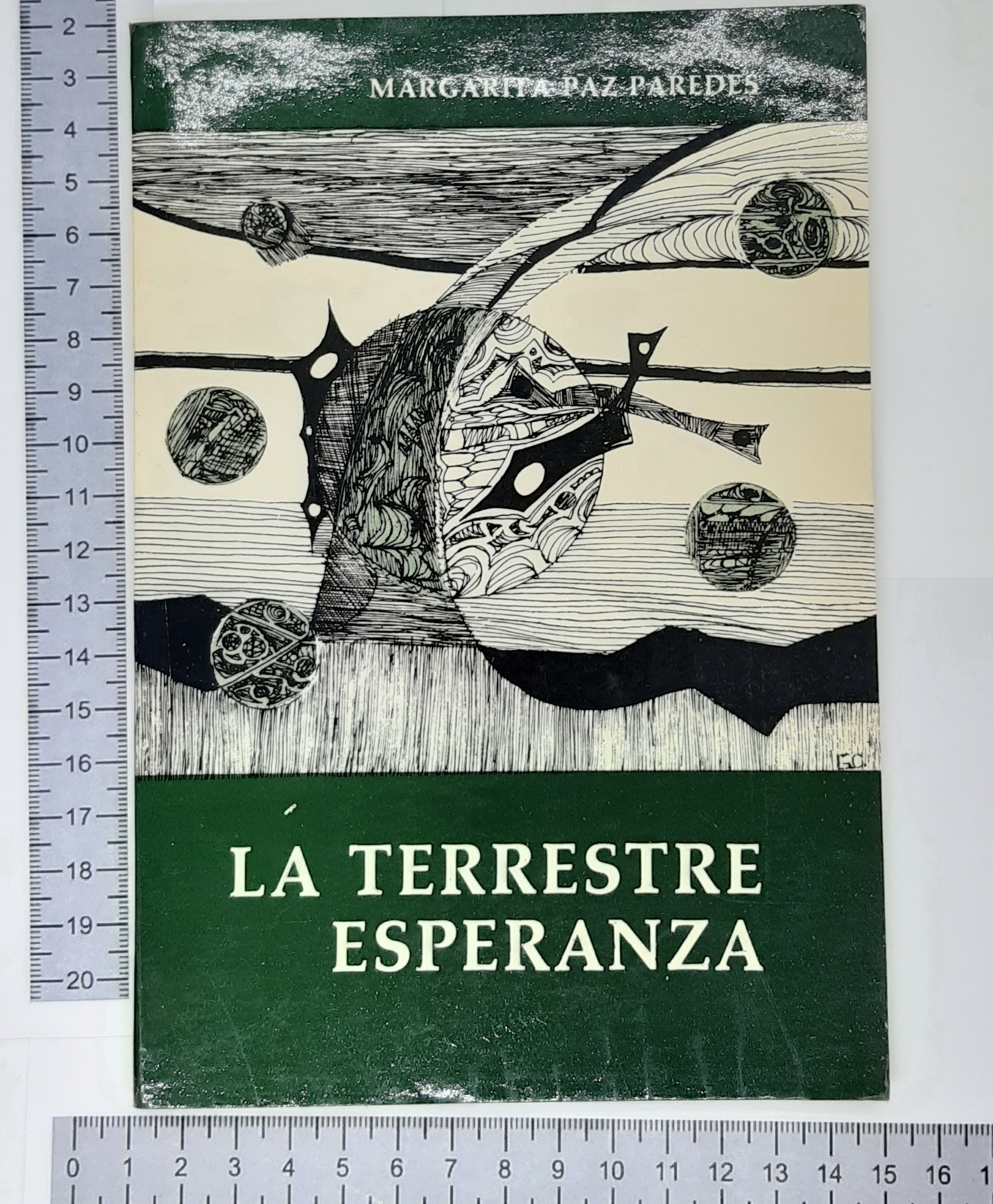 La terrestre Esperanza