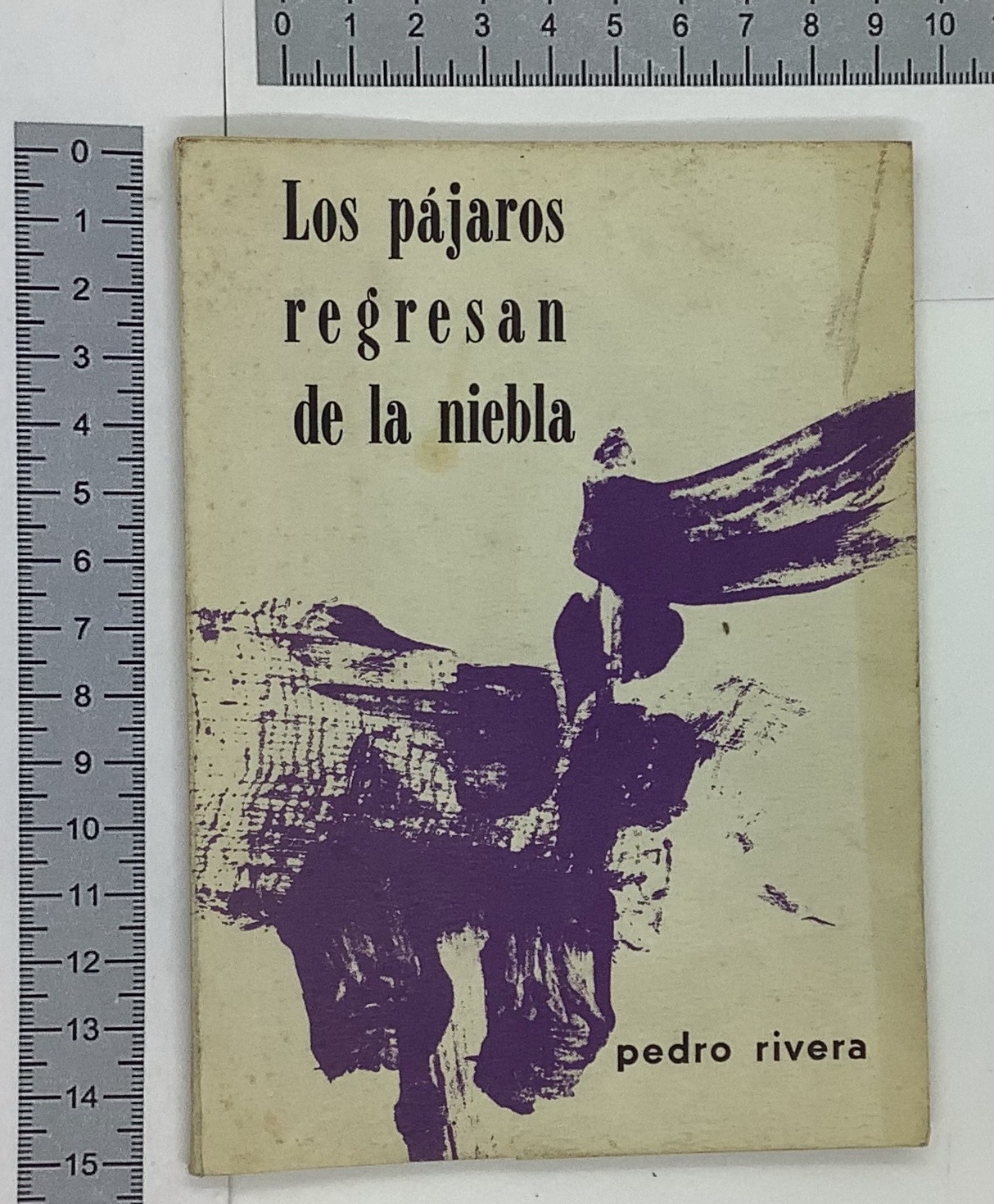 Los pajaros regresan de la niebla