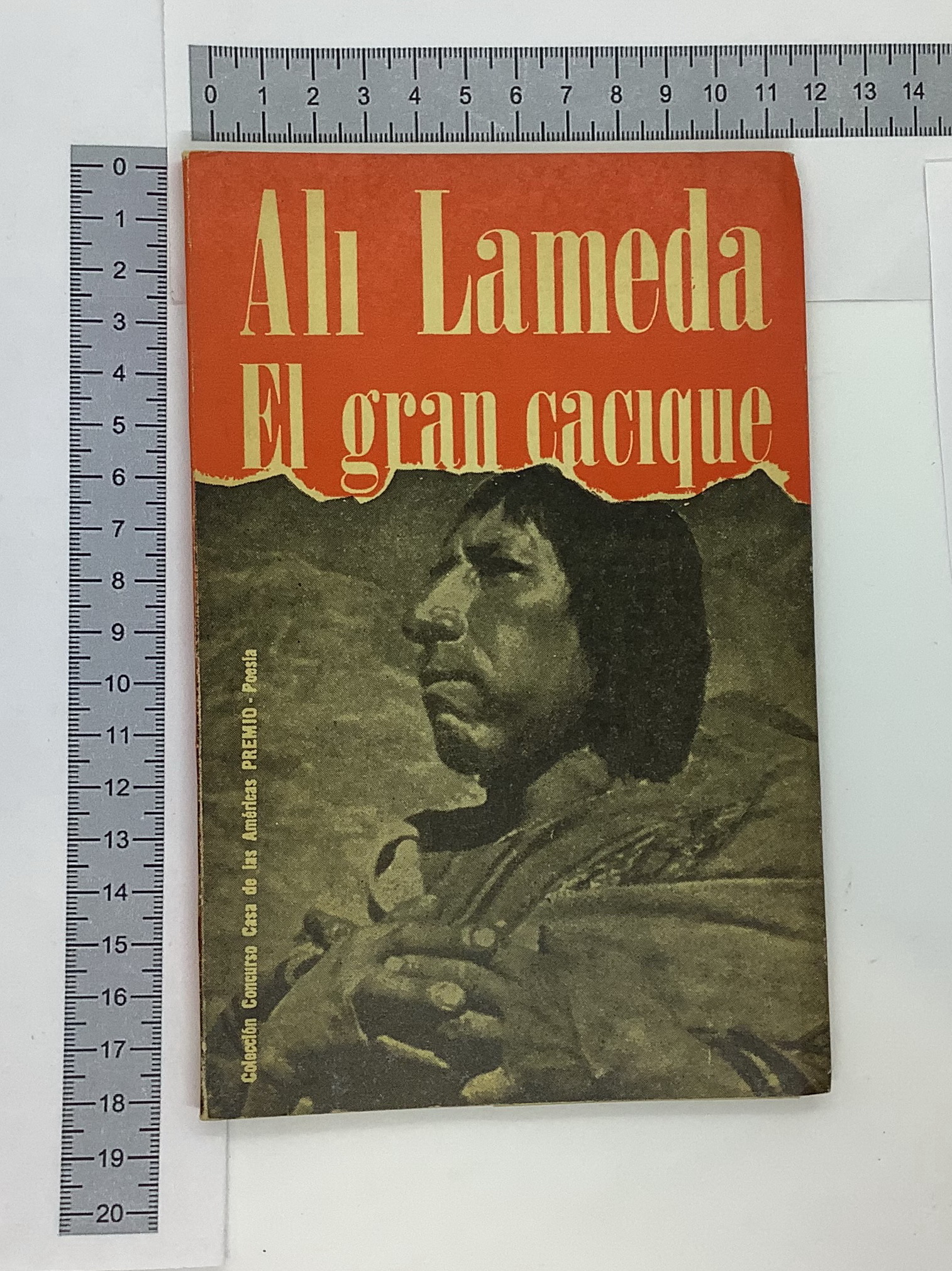 El gran cacique