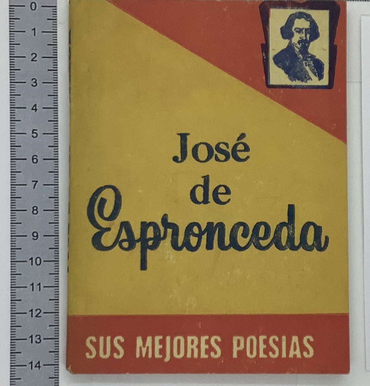 Sus mejores poesias
