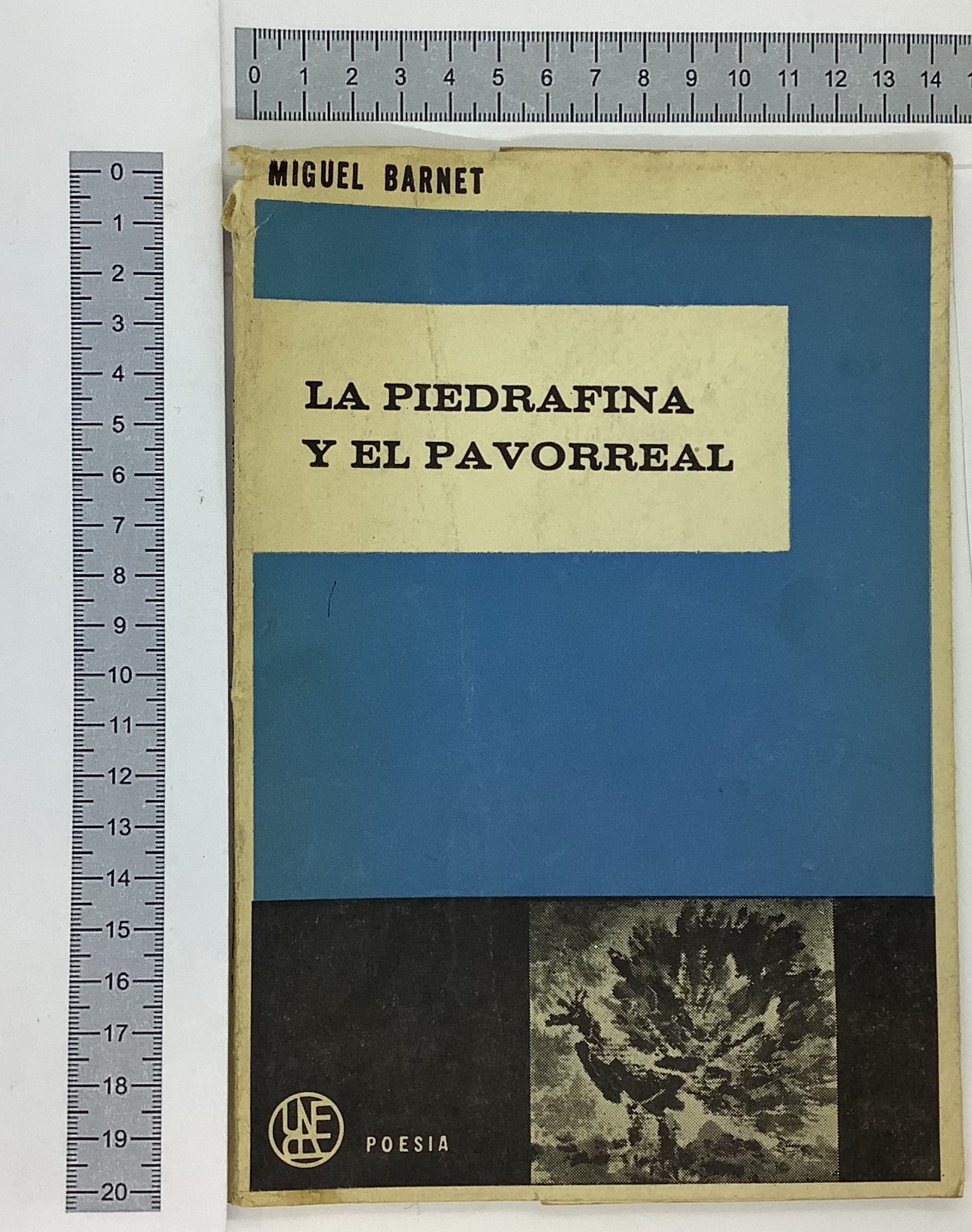 La piedrafina y el pavorreal