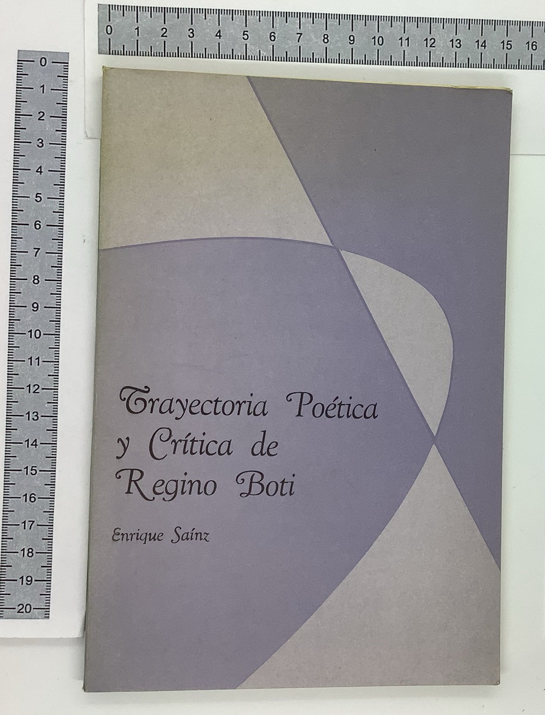 Trayectoria Poetica y critica de regino boti
