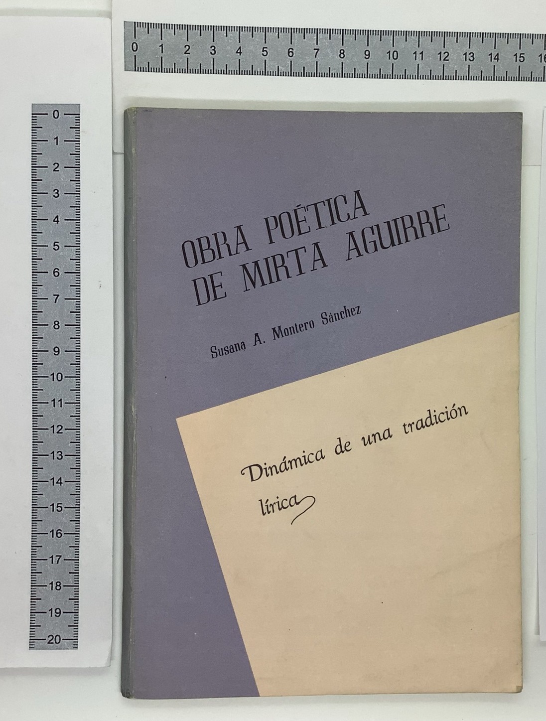 Obra poetica de mirta aguirre. Dinamica de una tradicion lirica
