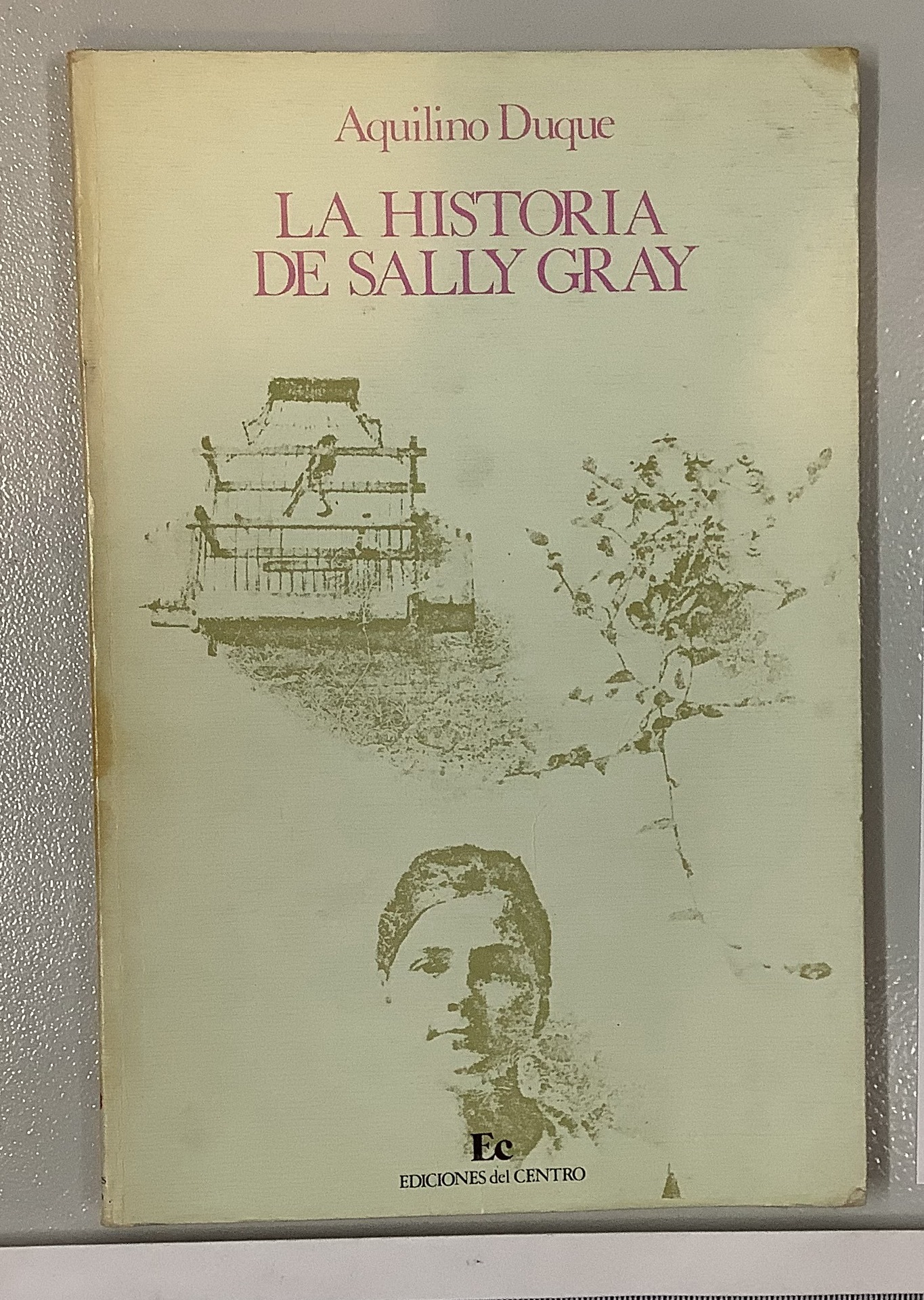 La Historia de Sally Gray