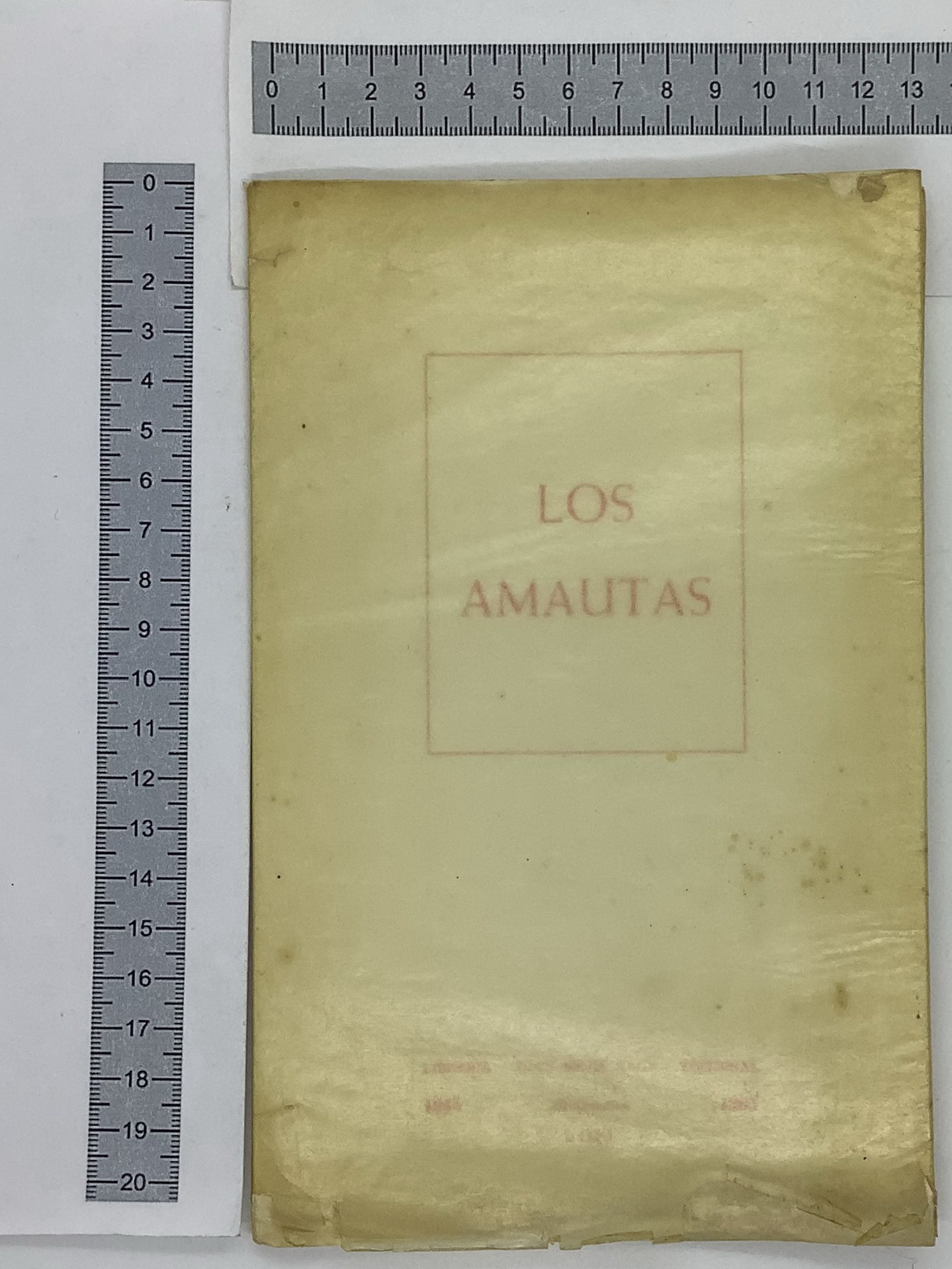 Los Amauras