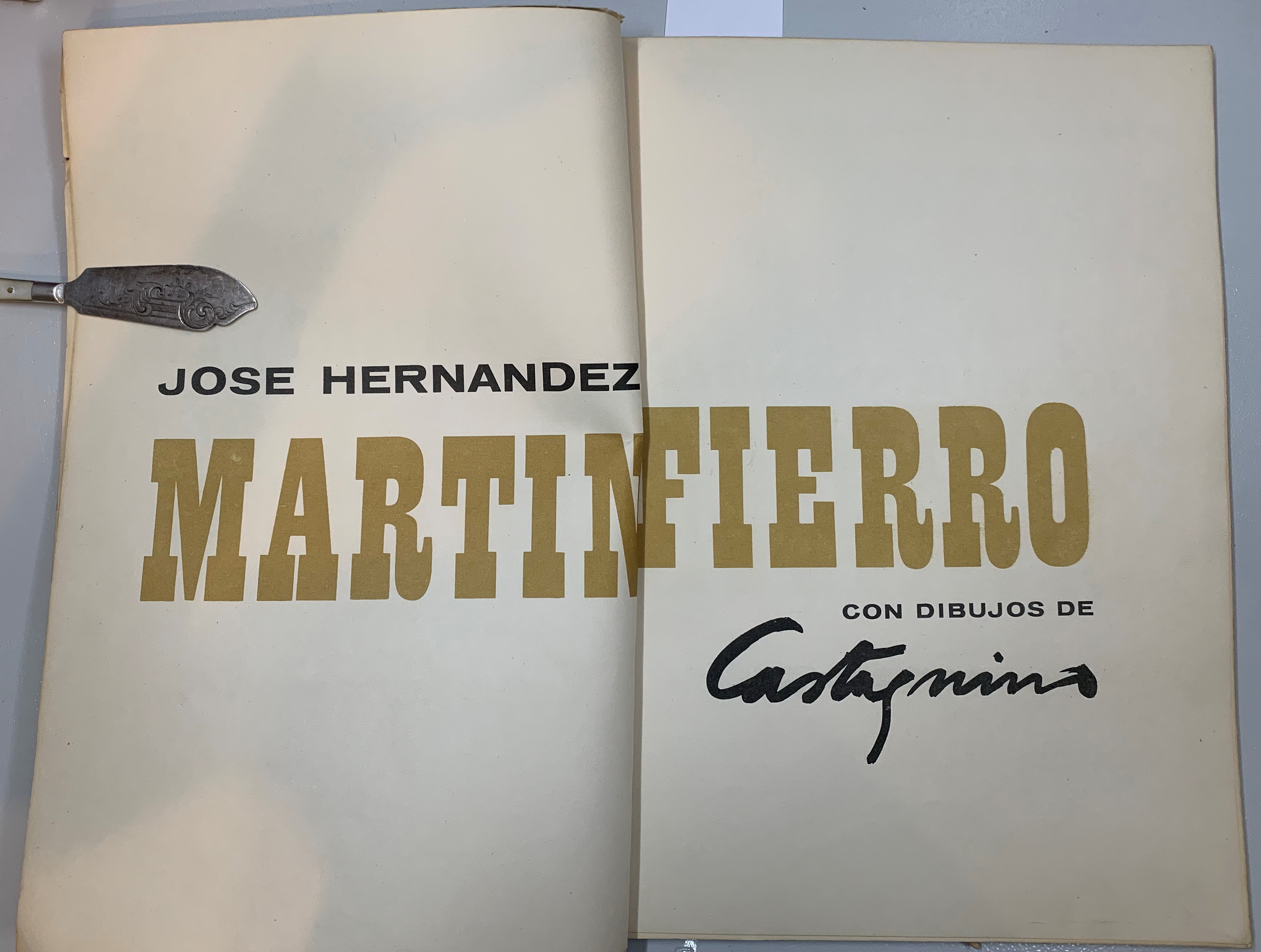 Martin Fierro, Jose Hernandez