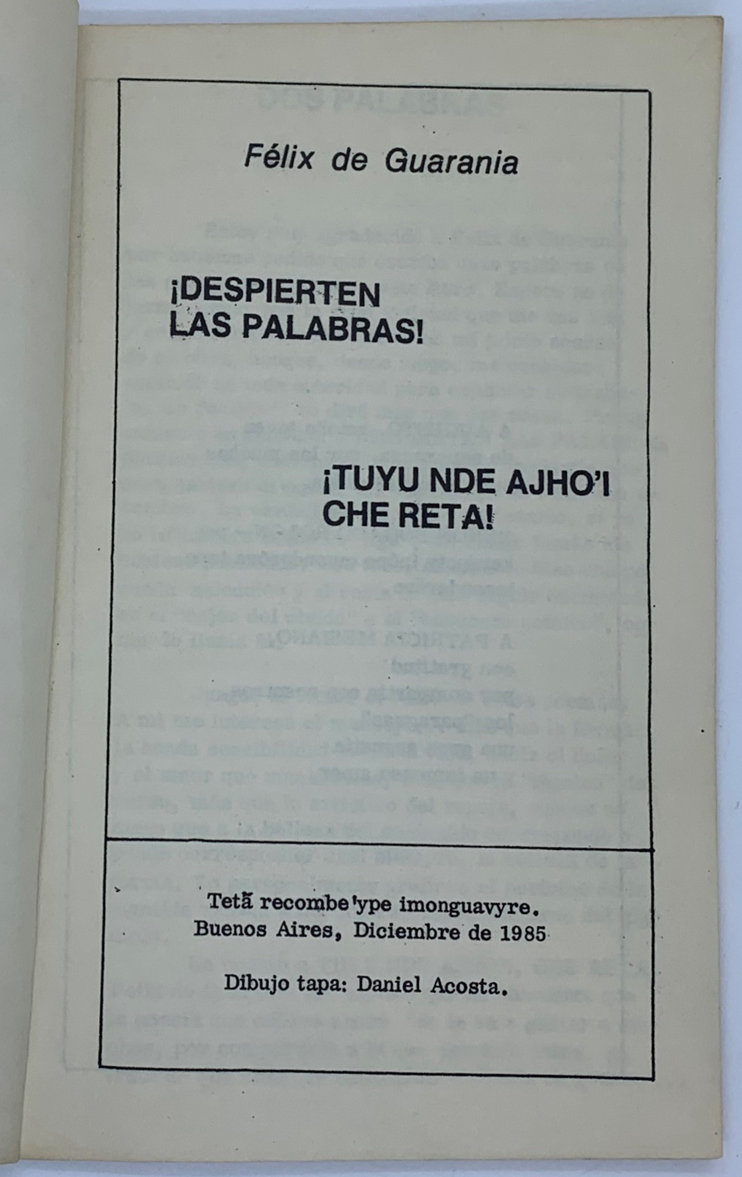 Despierten Las Palabras, Felix de Guarania