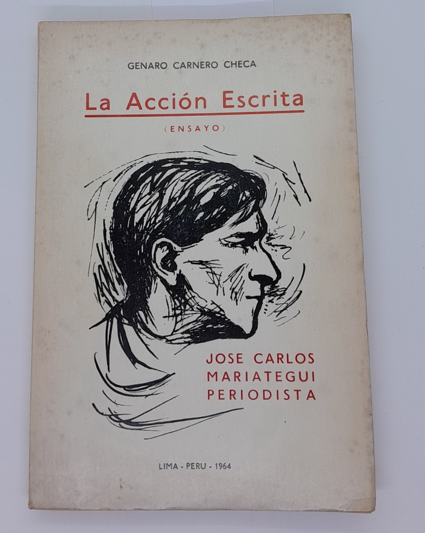 La accion escrita  ensayo