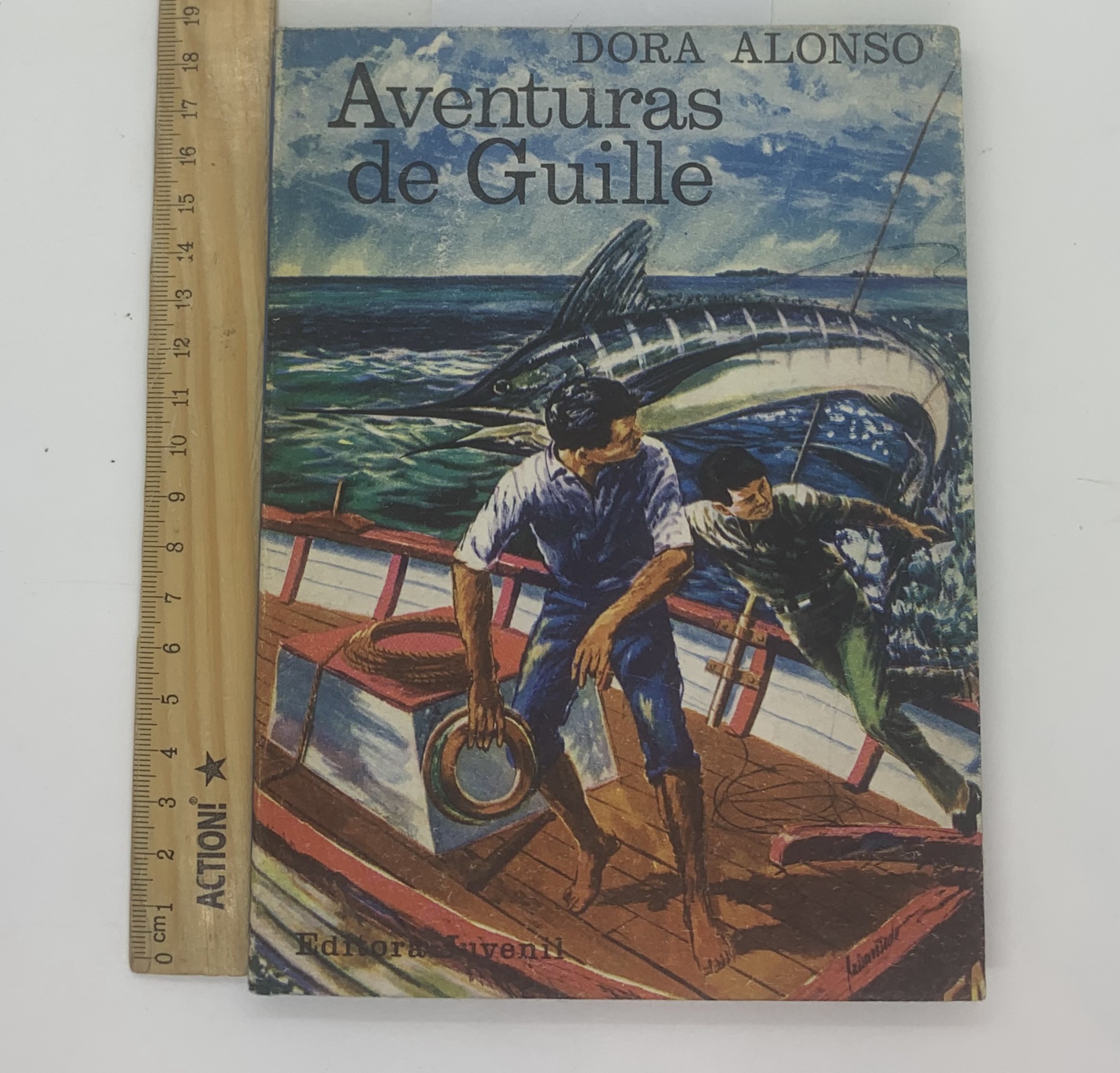 en busca de la gaviota negra