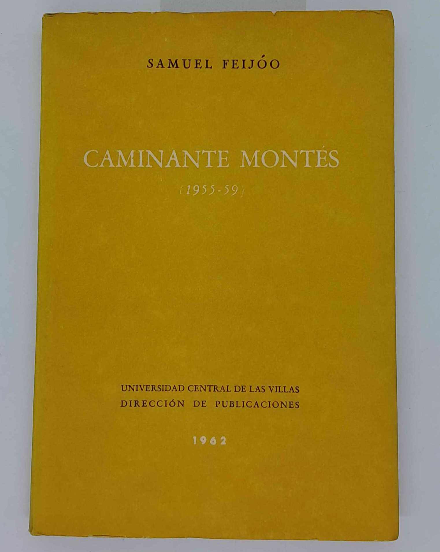 Caminante Montes