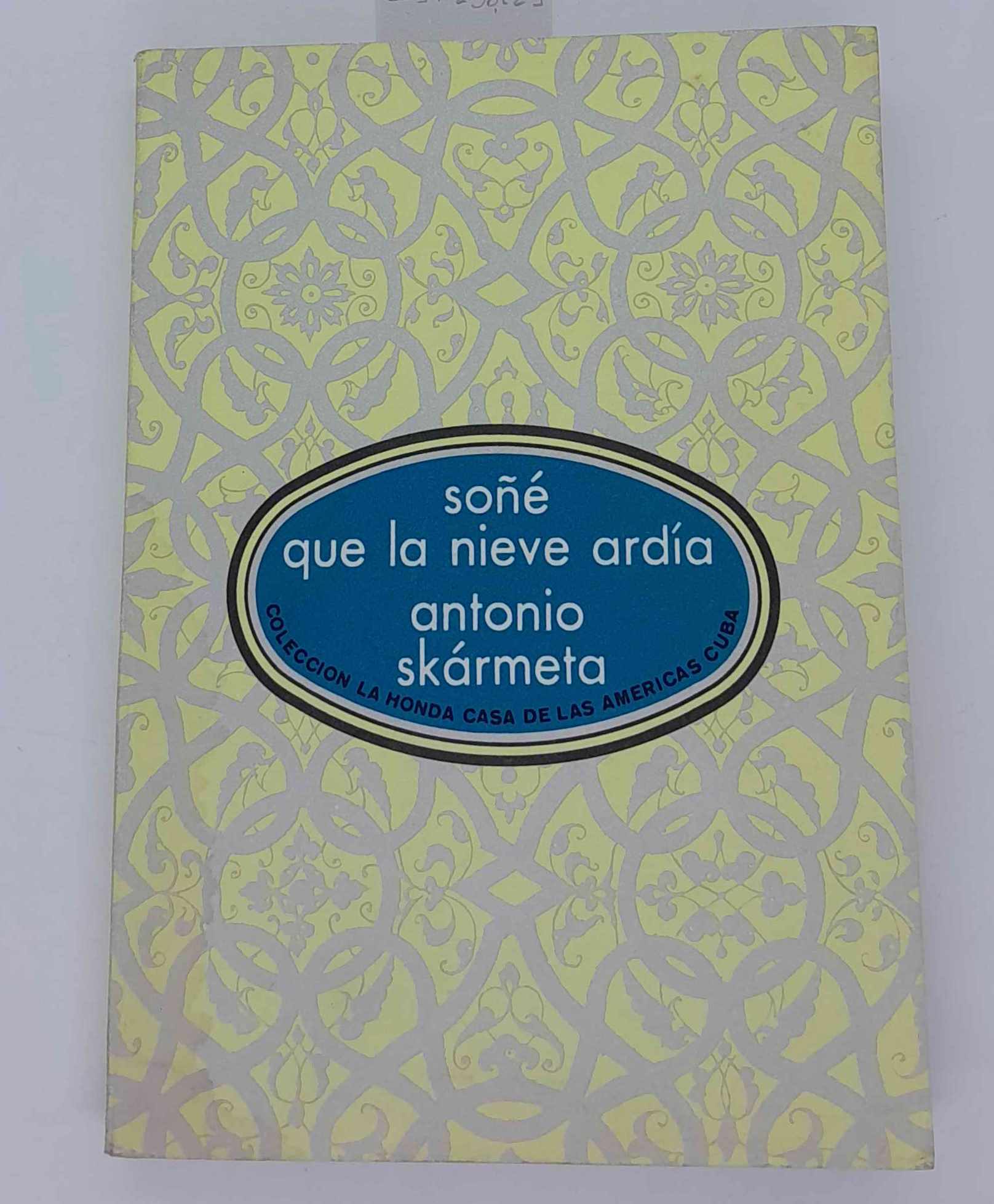 Sone que la nieve ardia