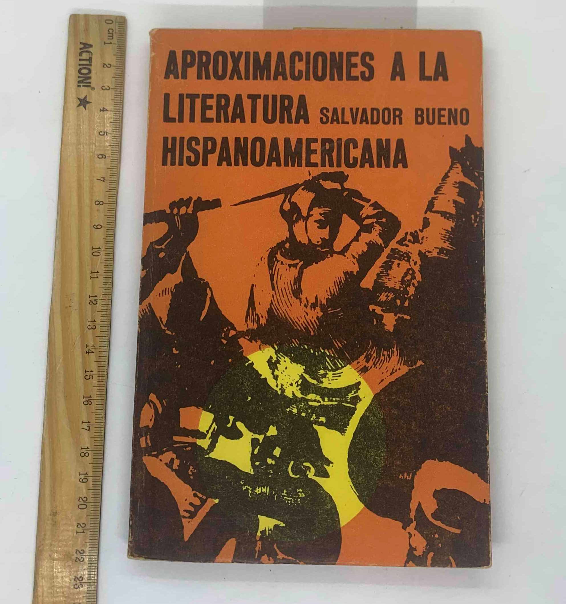 Aproximaciones a la literatura hispanoamericana