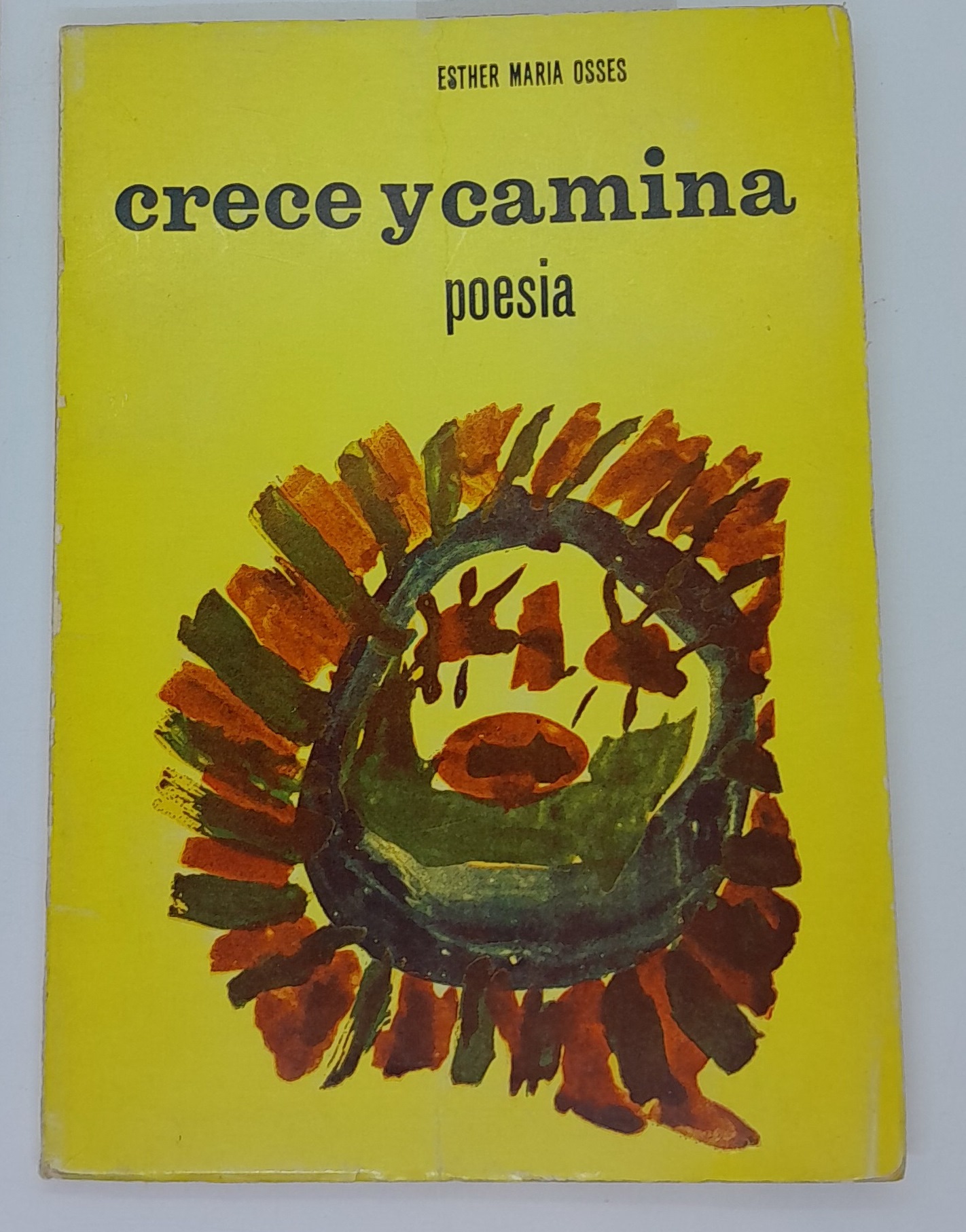 Crece y camina: poesia