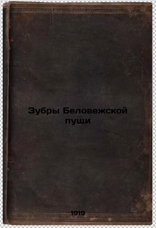 Belovezhskaya Pushcha bison