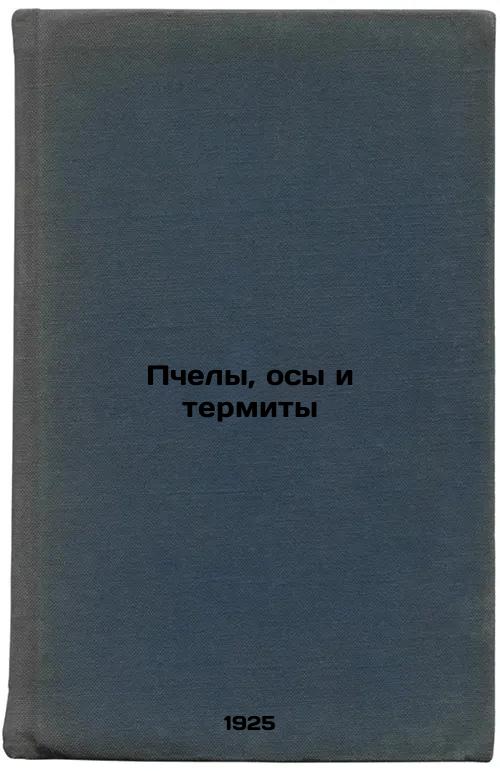 Bees, wasps and termites